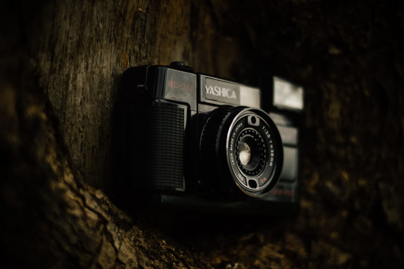 An analog camera resting in bark