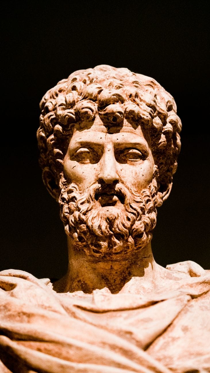 A classical marble bust in warm light